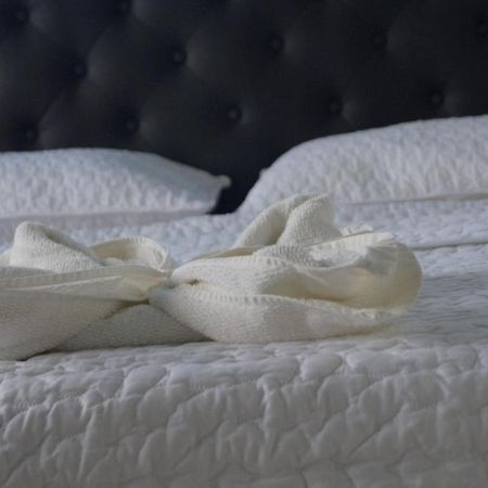 Hostal Magica Noche Filandia Hotel Eksteriør billede